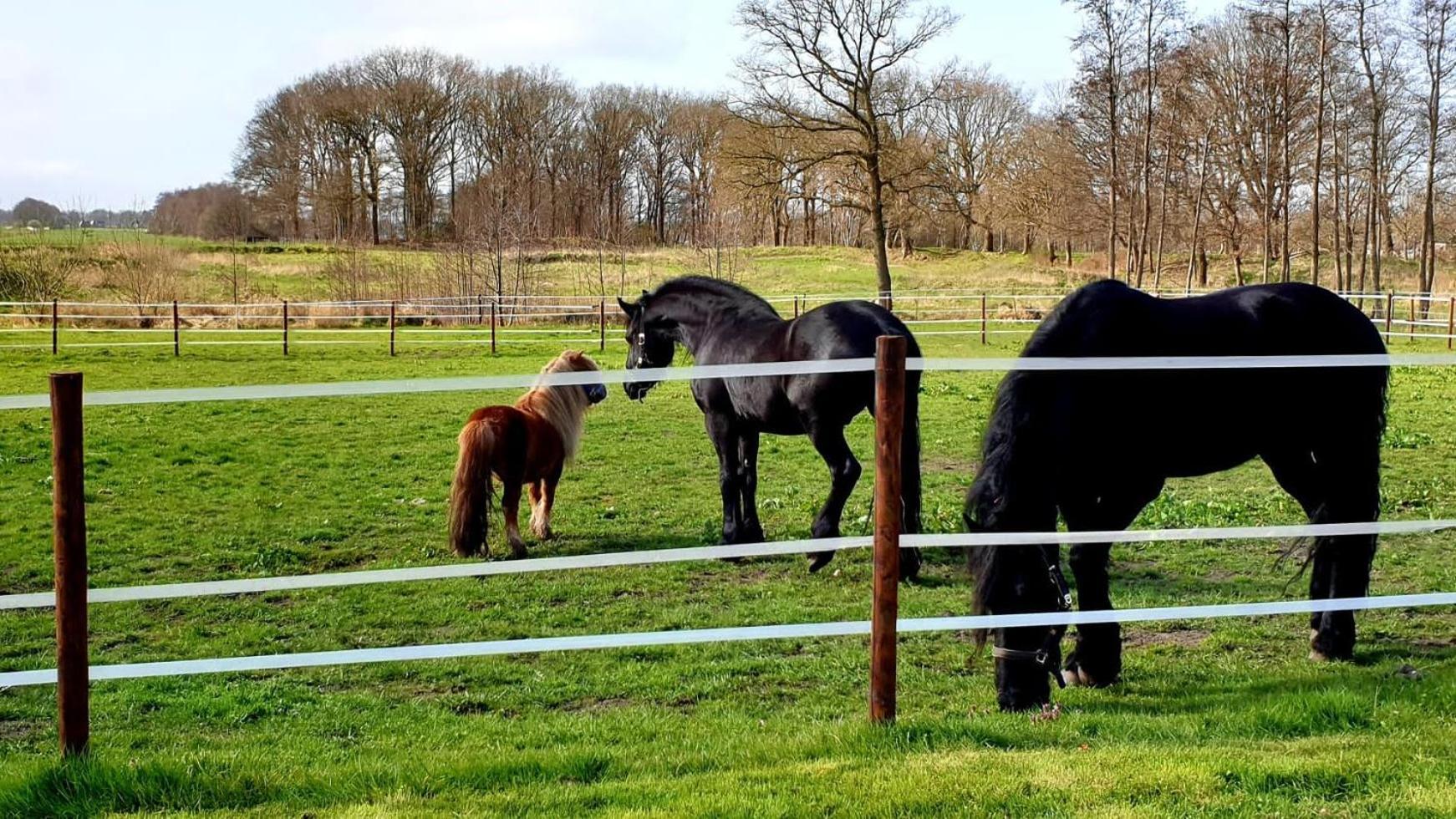 B&B Kuiper In Friesland Ureterp Zewnętrze zdjęcie